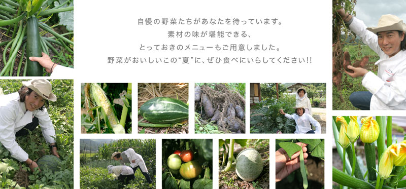 いろんな写真