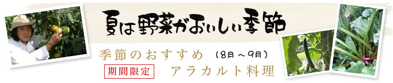 季節のおすすめアラカルト料理
